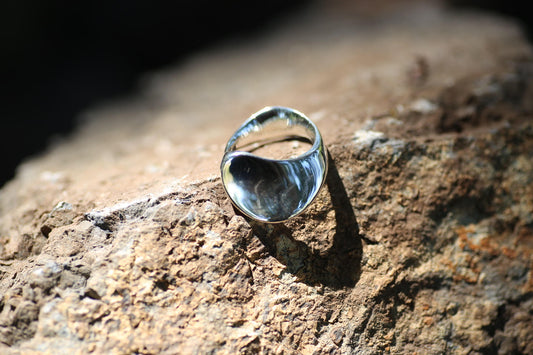 ring01